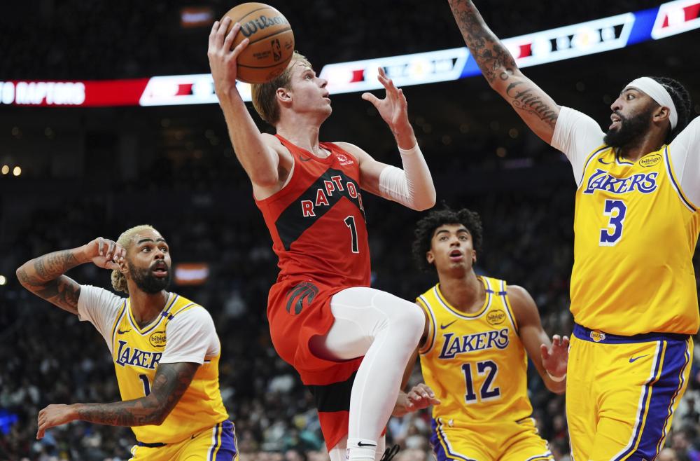 不仅承担了 不仅承担了