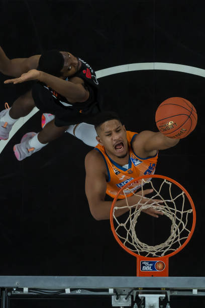 数据速览 数据速览